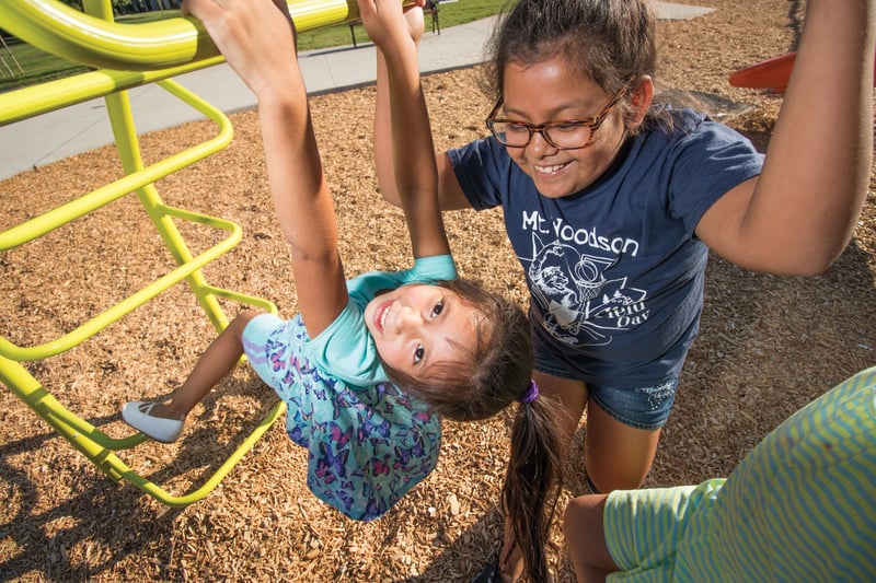 Grape Day Park preview 18